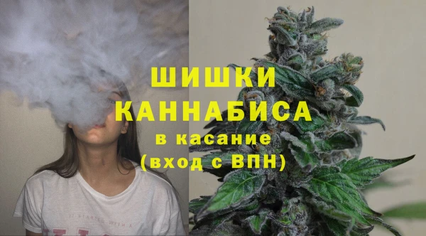 мет Арсеньев