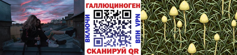 KRAKEN зеркало  Исилькуль  Галлюциногенные грибы GOLDEN TEACHER 